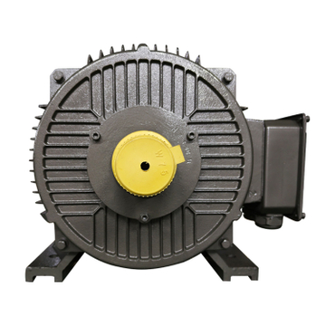 TYCP PMSM Motor