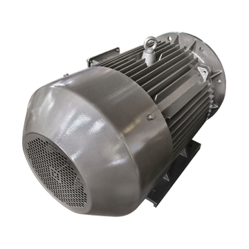 TYCP PMSM Motor