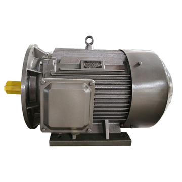 TYCP PMSM Motor