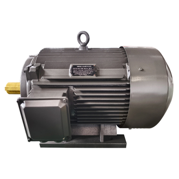 TYCP PMSM Motor