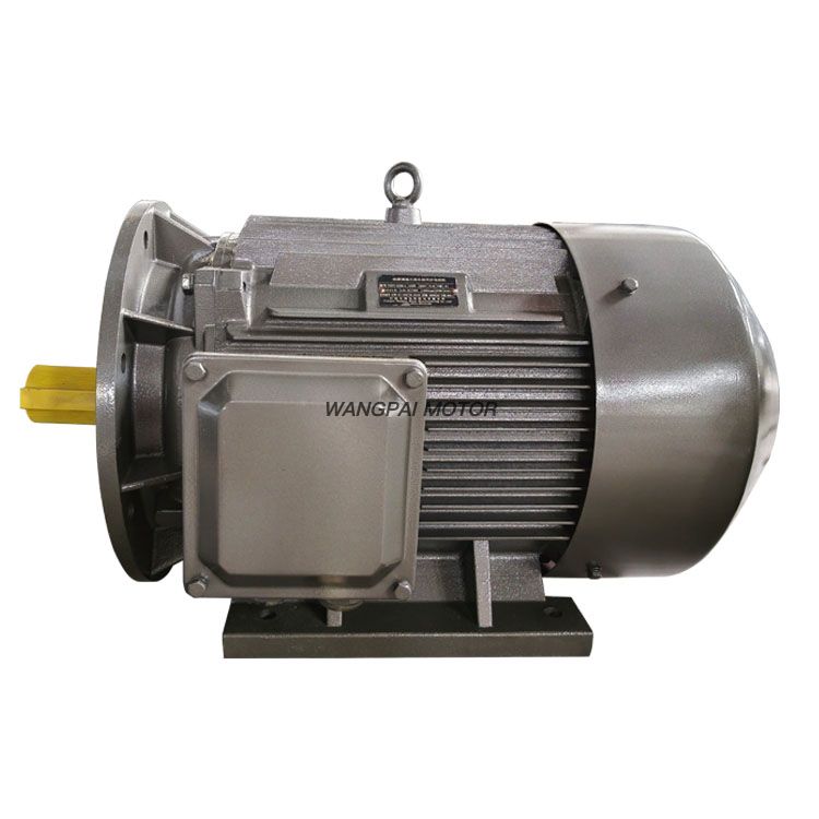 TYCP Three Phase Synchronous PMSM Motor