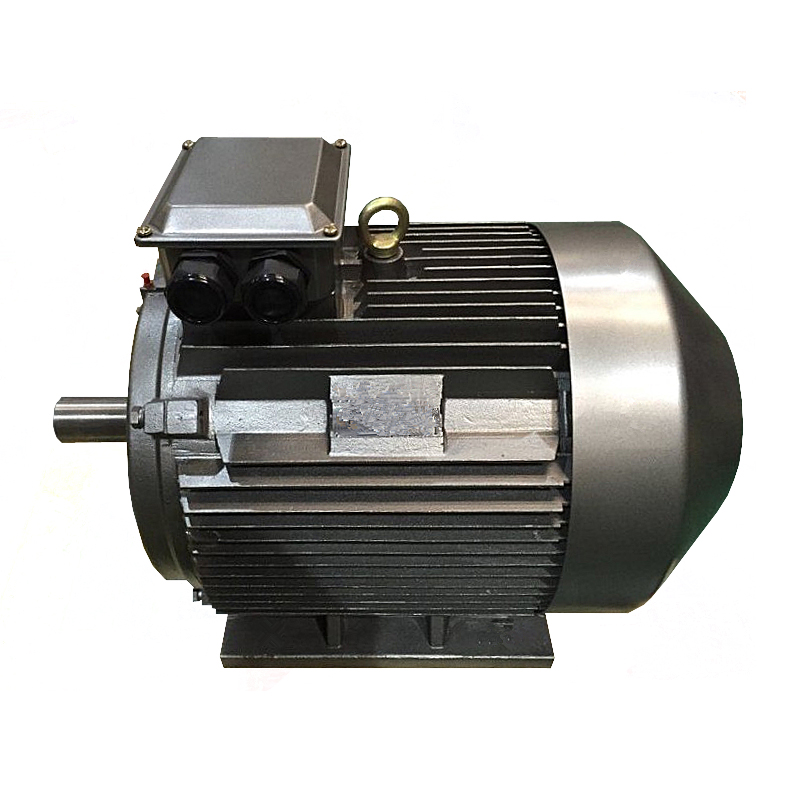 TYCP PMSM Motor