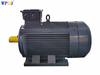 YE3 Series squirrel cage asynchronous Ac Motor