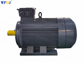 YE3 Series squirrel cage asynchronous Ac Motor