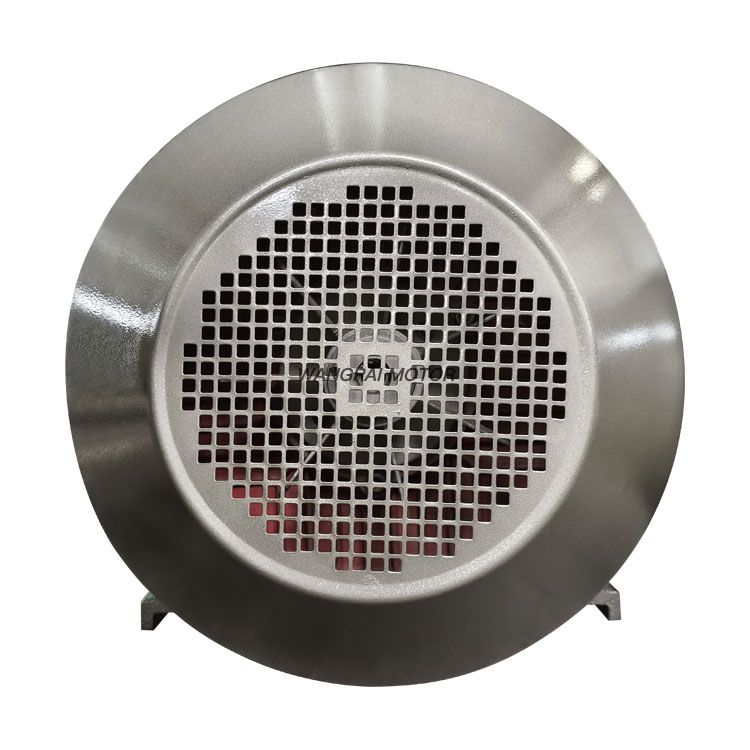 TYCP Three Phase Synchronous PMSM Motor