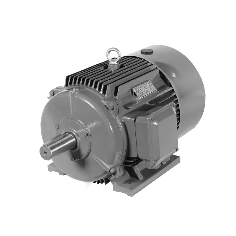 TYCP PMSM Motor