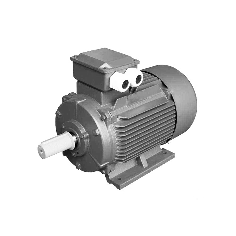 TYCP PMSM Motor