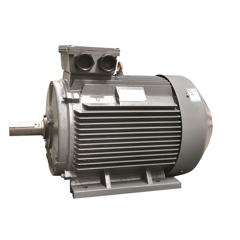 TYCP PMSM Motor