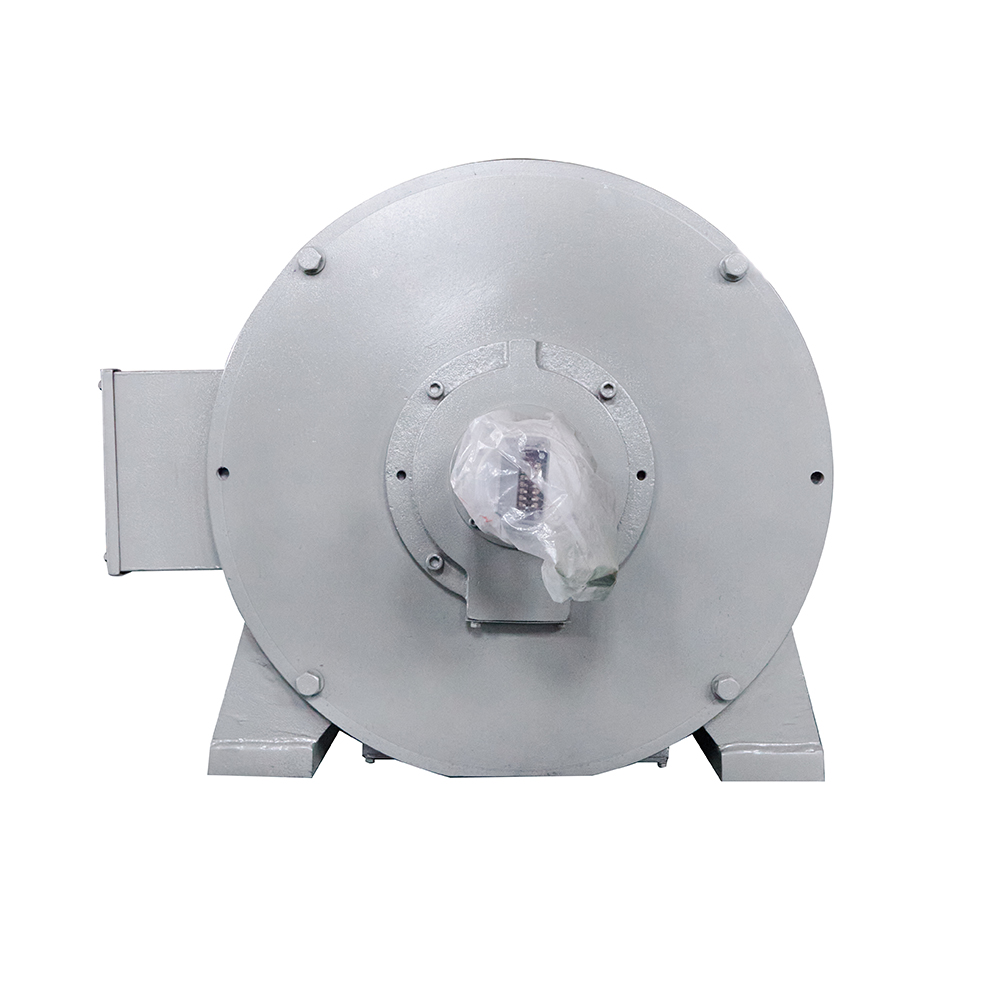 ZZJ800 Series DC Motor