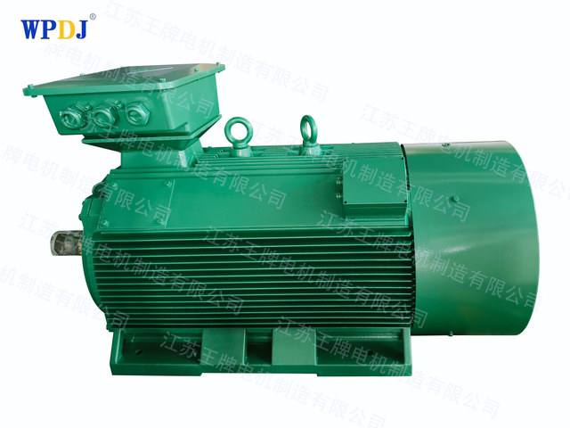 Y2 series squirrel cage high voltage motor