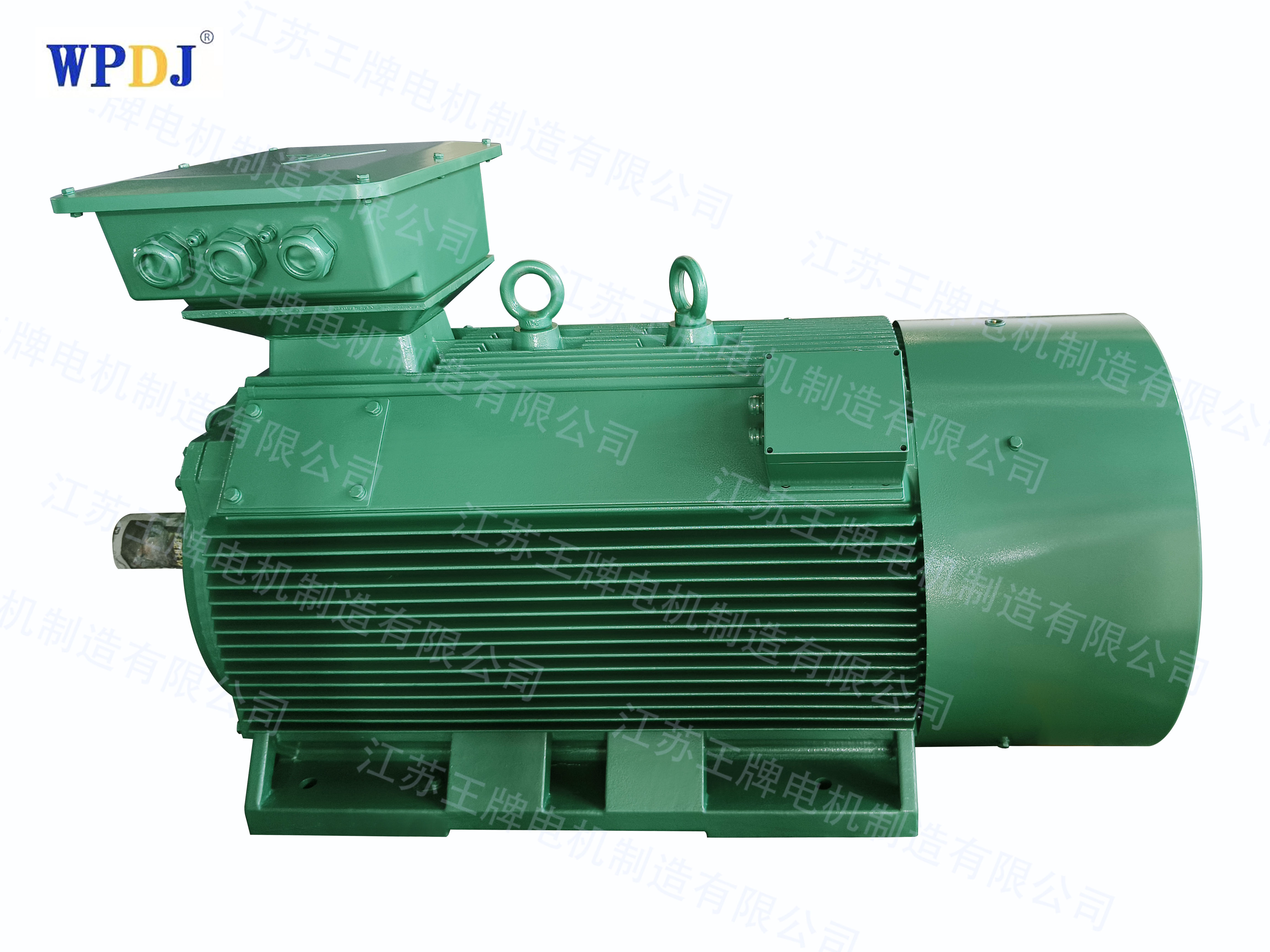 Y2 series squirrel cage high voltage motor