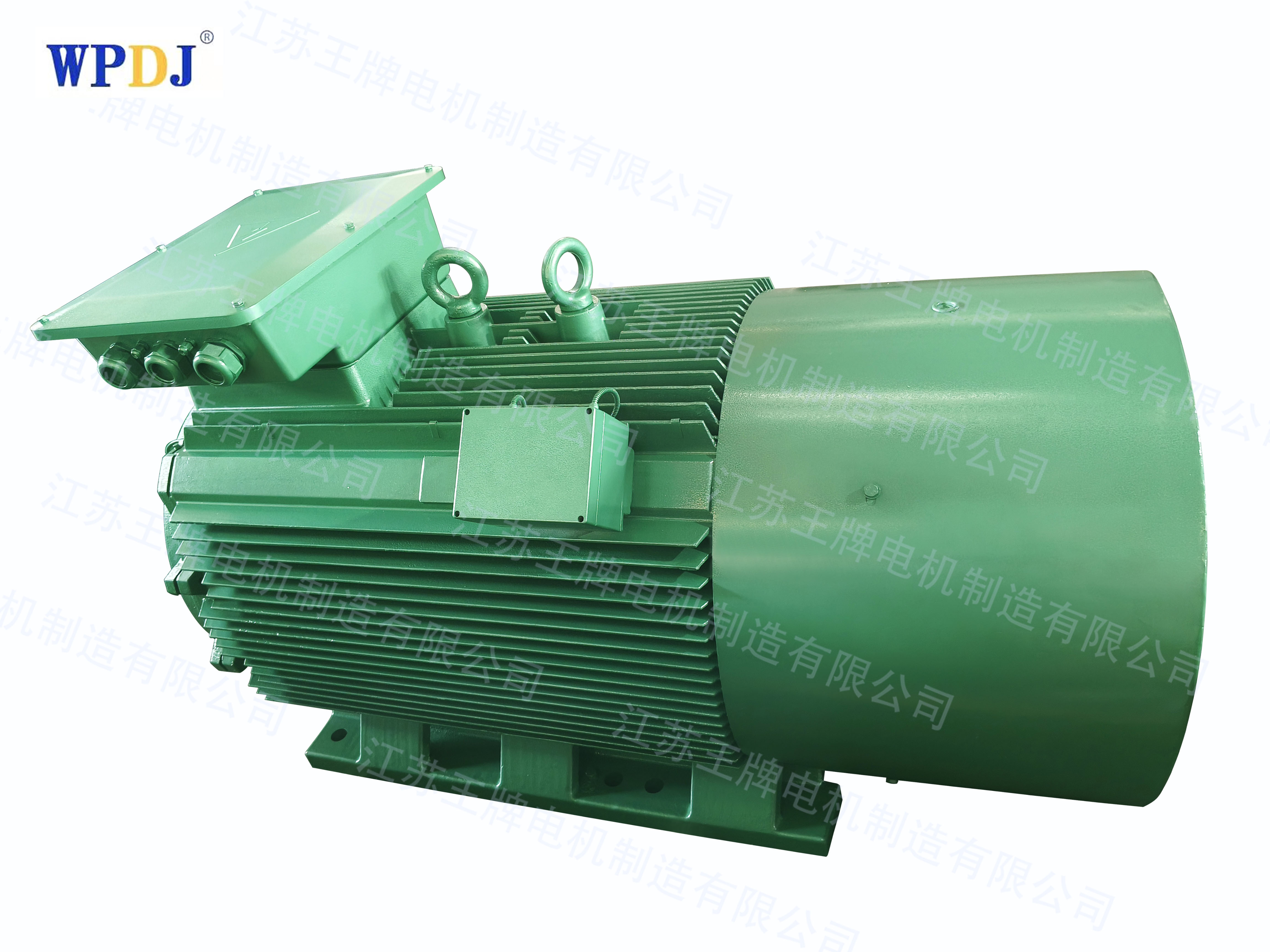 Y2 series squirrel cage high voltage motor