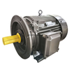 Three phase synchronous motor
