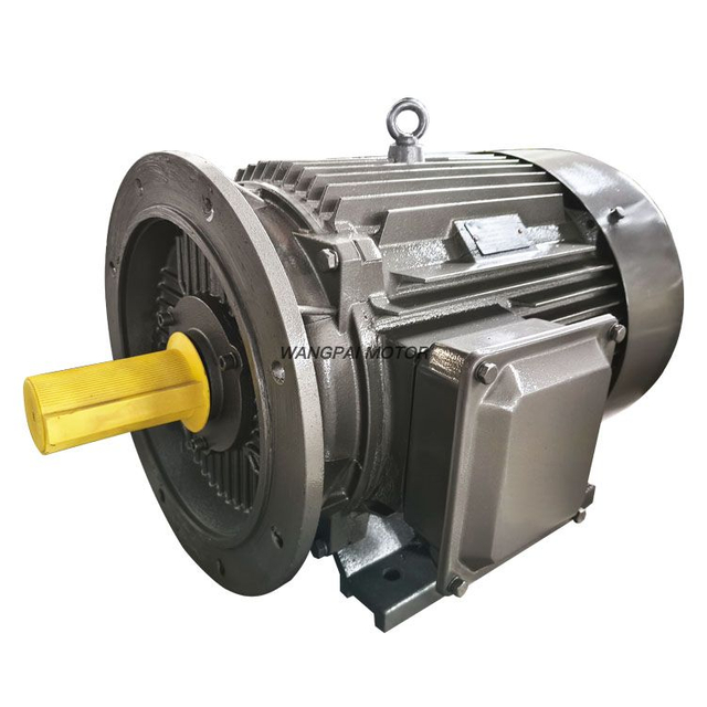 TYCP Three Phase Synchronous PMSM Motor