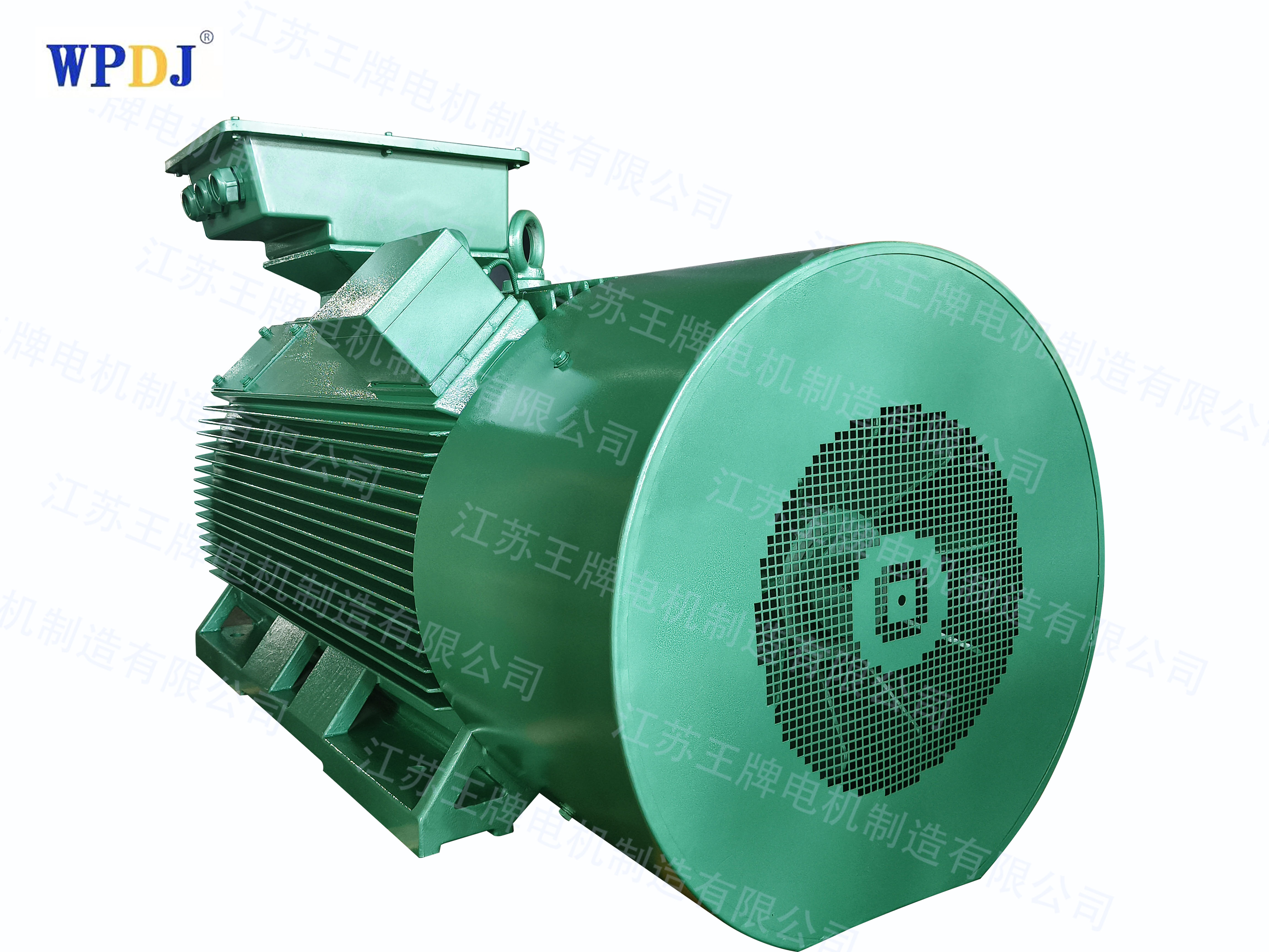 Y2 series squirrel cage high voltage motor