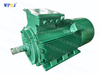 Y2 series squirrel cage high voltage motor