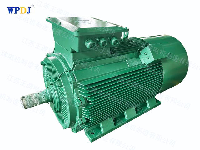 Y2 series squirrel cage high voltage motor