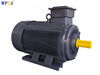 YE3 Series squirrel cage asynchronous Ac Motor