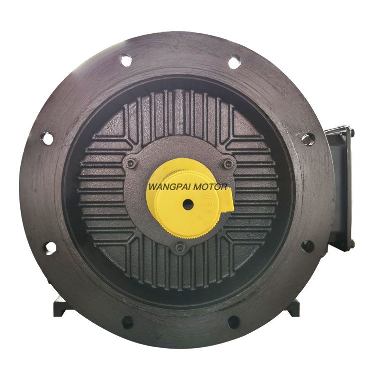 TYCP Three Phase Synchronous PMSM Motor