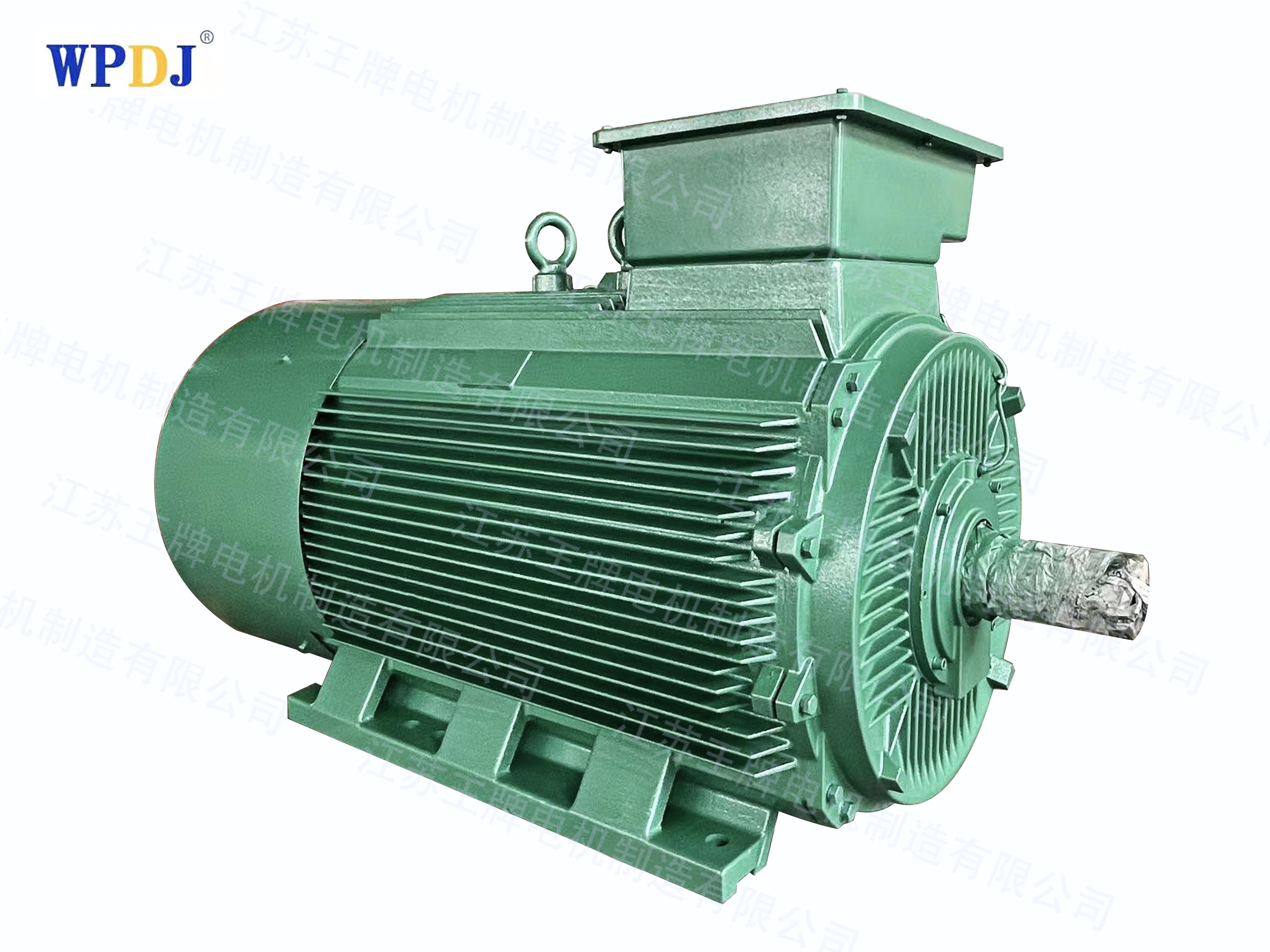 Y2 series squirrel cage high voltage motor