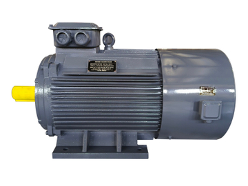Wangpai PMSM permanent magnet synchronous motor front view