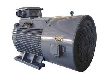 Wangpai PMSM permanent magnet synchronous motor 45 degree view
