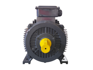 Wangpai PMSM permanent magnet synchronous motor side view